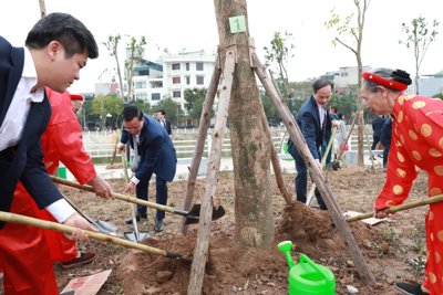 Năm 2024, quận Long Biên phấn đấu trồng mới trên 6.000 cây xanh