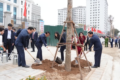 Cầu Giấy phát động "Tết trồng cây – Đời đời nhớ ơn Bác Hồ”