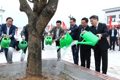 Thanh Oai phát động Tết trồng cây, khai trương bộ phận một cửa xã Bích Hòa