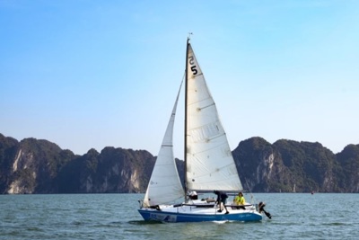 Quảng Ninh: Sẽ diễn ra giải đua thuyền buồm trên vịnh Hạ Long