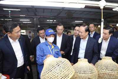 Lãnh đạo TP Hà Nội thăm, động viên sản xuất đầu Xuân tại huyện Chương Mỹ