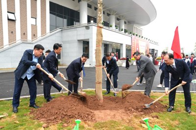 Lãnh đạo Thành phố dự Tết trồng cây Xuân Giáp Thìn 2024 tại huyện Đông Anh
