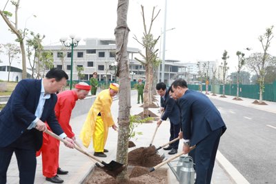 Quận Hoàng Mai triển khai "Tết trồng cây đời đời nhớ ơn Bác Hồ"