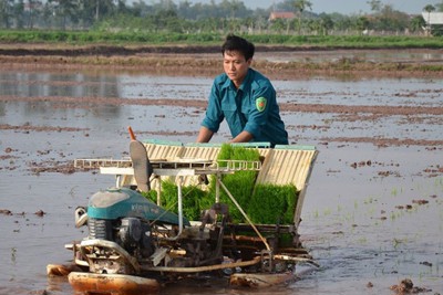 Hà Nội: Hoàn thành gieo cấy lúa Xuân trong khung thời vụ tốt nhất