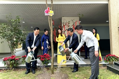 Lãnh đạo Thành phố Hà Nội tham dự Tết trồng cây tại quận Đống Đa