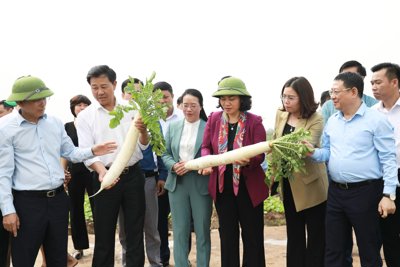 Lãnh đạo Thành phố Hà Nội thăm, động viên người dân ra quân sản xuất 