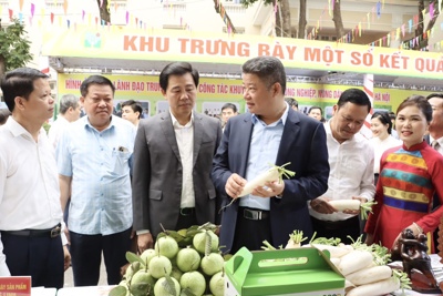 Hà Nội: Nhiều giải pháp tăng giá trị sản xuất nông nghiệp