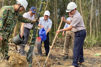 Quảng Ngãi: Các địa phương sôi nổi ra quân trồng cây đầu năm