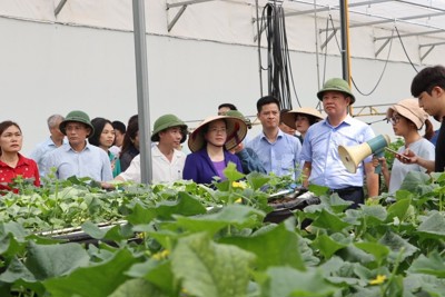 Hà Nội đẩy mạnh tái cơ cấu nông nghiệp