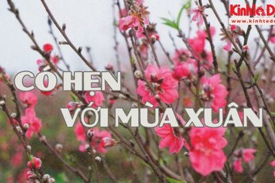 Podcast Tản văn: Có hẹn với mùa Xuân