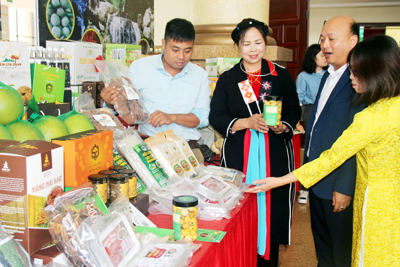 Bắc Giang: Chú trọng phát triển sản phẩm OCOP từ cây dược liệu