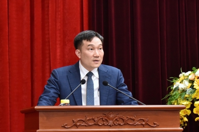 Phê chuẩn chức danh Phó Chủ tịch UBND tỉnh Gia Lai và tỉnh Quảng Bình