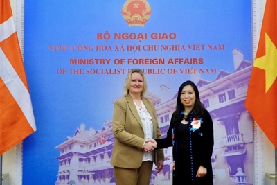 Đẩy mạnh hợp tác Việt Nam - Đan Mạch hiệu quả trên mọi lĩnh vực