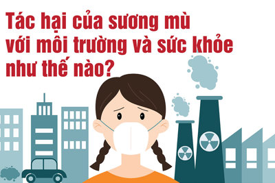 Tác hại của sương mù với môi trường và sức khỏe như thế nào?