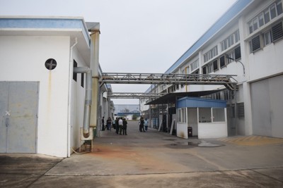 Quảng Ninh: Nguyên nhân 61 công nhân công ty VEGA BALLS nhập viện 
