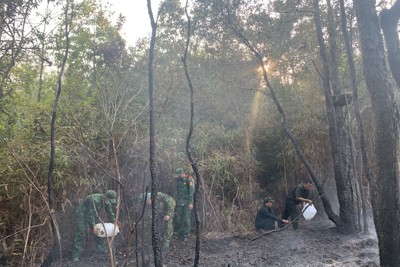 Cảnh báo mức độ cháy rừng trên đảo Phú Quốc lên cấp độ 5