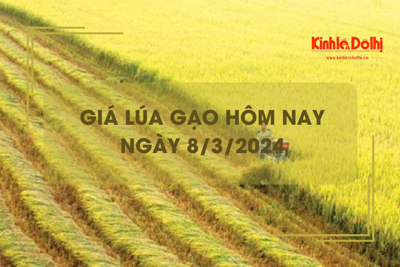 Giá lúa gạo hôm nay 8/3/2024: Giá gạo chợ lẻ giảm mạnh