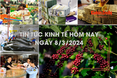 Tin tức kinh tế ngày 8/3/2024: Giá USD giảm mạnh, giá cà phê lập đỉnh mới