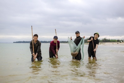 Quảng Bình: Ngư dân Quảng Trạch đổ ra biển đánh bắt ruốc trái mùa