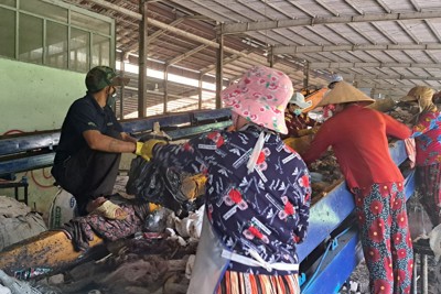 Kiên Giang: Phân loại rác thải, thúc đẩy kinh tế tuần hoàn