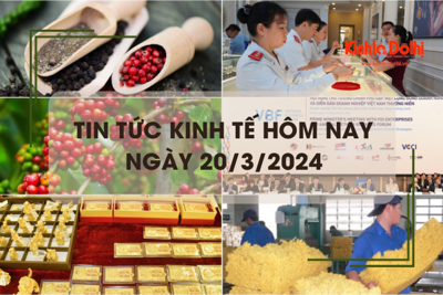 Tin tức kinh tế ngày 20/3/2024: Giá cà phê, giá tiêu neo ở mức cao