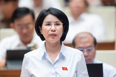 Bổ nhiệm bà Trần Thị Nhị Hà làm Phó Trưởng Ban Dân nguyện Quốc hội