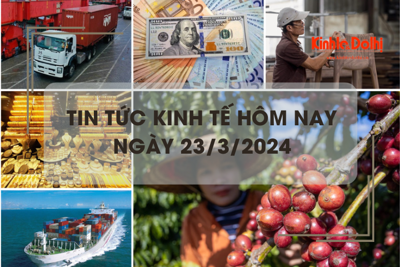 Tin tức kinh tế ngày 23/3/2024: Giá cà phê, giá USD tăng mạnh