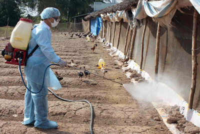 Bộ Y tế thông tin về ca mắc cúm A/H5N1 tử vong