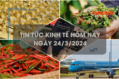 Tin tức kinh tế ngày 24/3/2024: Giá vàng nhẫn giảm nhẹ, giá tiêu tăng 500 đồng/kg