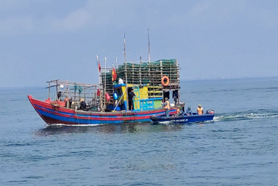 Nghệ An tăng cường giải pháp chống khai thác hải sản bất hợp pháp