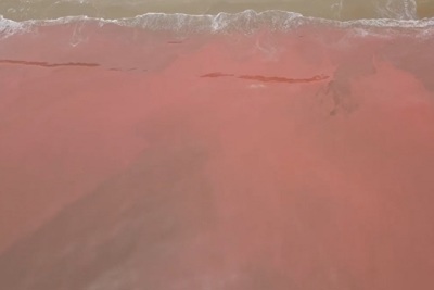 Hà Tĩnh: nước biển bất ngờ xuất hiện màu đỏ như 'máu'