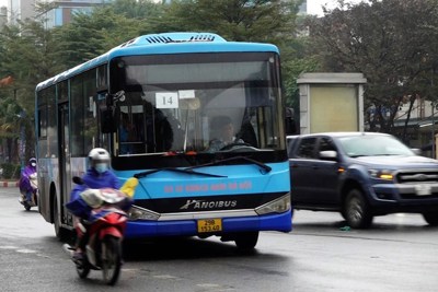 Hà Nội dừng 5 tuyến xe buýt để quy hoạch lại mạng lưới