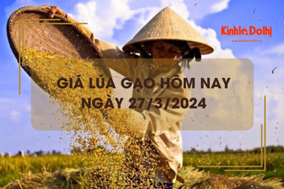 Giá lúa gạo hôm nay 27/3/2024: Giá gạo xuất khẩu giảm nhẹ