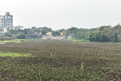 Cách nào bảo vệ ao, hồ ở Hà Nội khỏi tình trạng xâm hại?