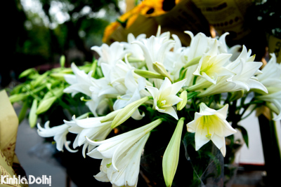 Hoa loa kèn trắng tinh khôi gọi tháng Tư về