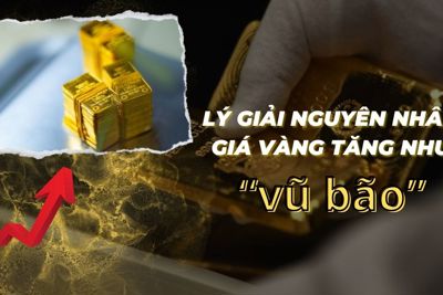 Lý giải nguyên nhân giá vàng tăng như “vũ bão”