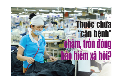 Tin tức tổng hợp trên báo in số 80 ra ngày 10/4/2024