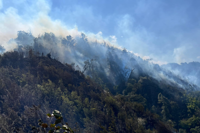 Lào Cai tăng cường các biện pháp phòng chống cháy rừng