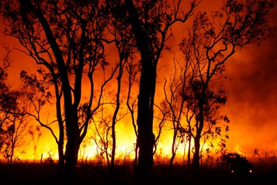 Canada dự báo một mùa cháy rừng “thảm khốc” do biến đổi khí hậu