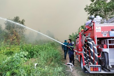 Huy động 600 người chữa cháy xuyên đêm ở rừng tràm Cà Mau