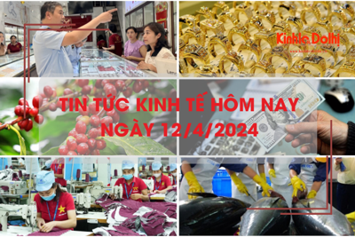 Tin tức kinh tế ngày 12/4/2024: giá cà phê, tỷ giá USD ngân hàng đạt đỉnh