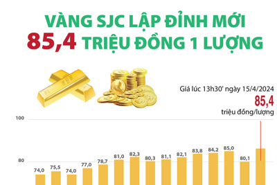Giá vàng bất ngờ tăng mạnh lên mốc 85,4 triệu đồng/lượng