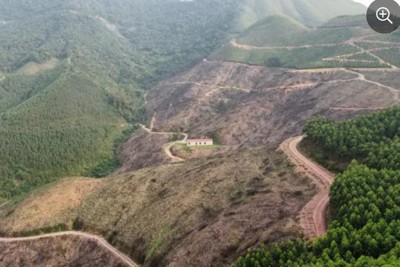 Bắc Giang: tăng cường các biện pháp phòng cháy, chữa cháy rừng