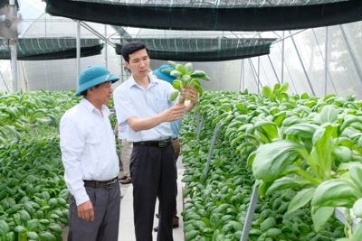 Nông nghiệp Hà Nội thích ứng biến đổi khí hậu