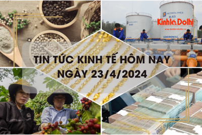 Tin tức kinh tế ngày 23/4/2024: xuất khẩu hạt tiêu sang thị trường Hàn Quốc tăng mạnh