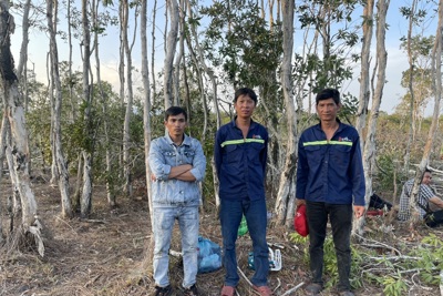 Phú Quốc: bắt các đối tượng phá hơn 2.000m2 rừng đặc dụng