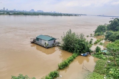 Gia tăng thiệt hại do thiên tai tại nhiều địa phương