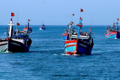 Phản đối lệnh cấm đánh bắt cá của Trung Quốc ở Biển Đông