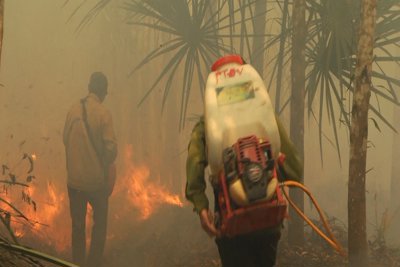 Đồng Nai: Cảnh giác cháy rừng vào cao điểm mùa khô