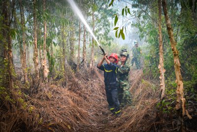 Kiên Giang: cháy lớn ở rừng tràm huyện Giang Thành